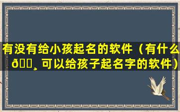 有没有给小孩起名的软件（有什么 🌸 可以给孩子起名字的软件）